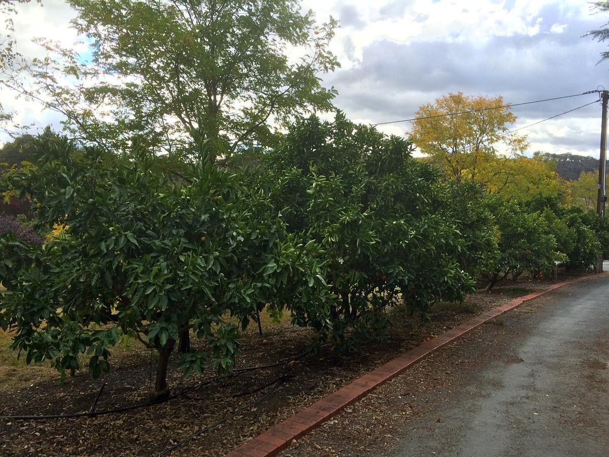 Vineyard Cottage Bnb Gumeracha ภายนอก รูปภาพ